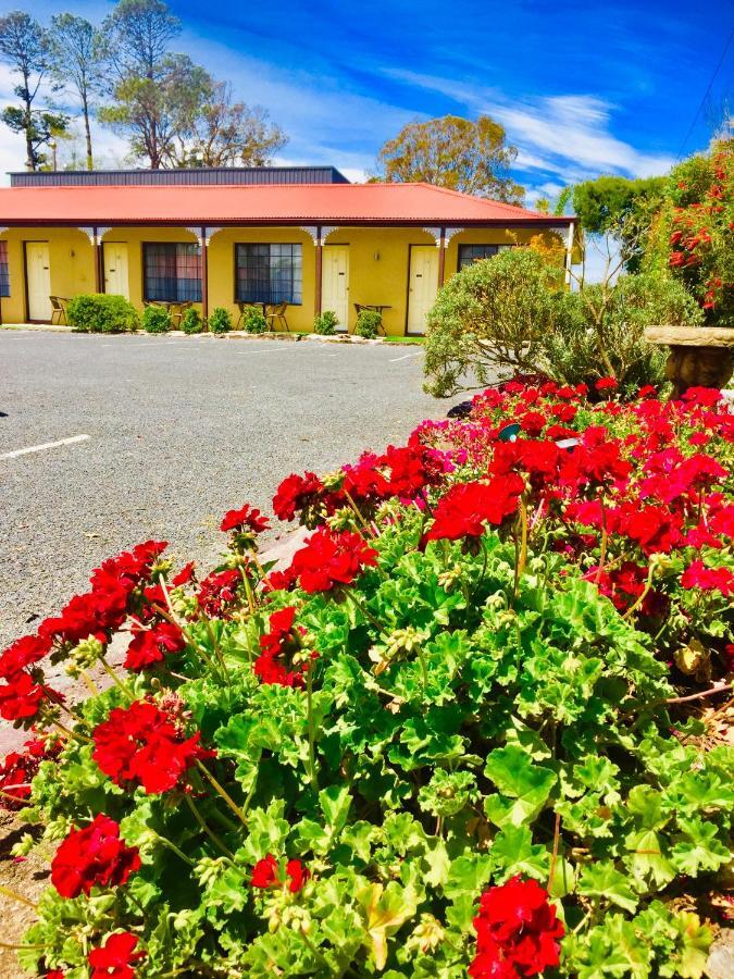 Colonial Motor Inn Pambula Exterior photo